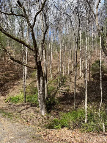 $25,000 | 302-304 North Country Club Drive, Cullowhee, NC 28723