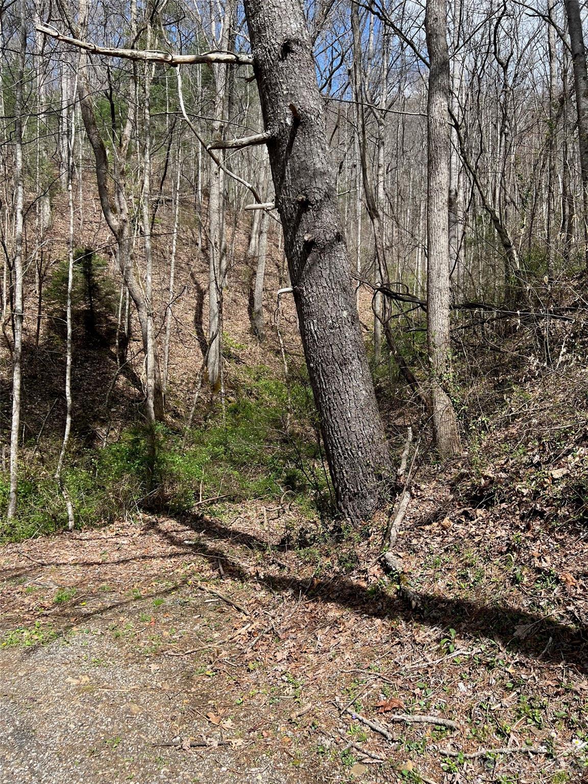 302-304 North Country Club Drive Cullowhee, NC 28723 - Photo 2 of 15