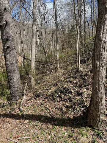 $25,000 | 302-304 North Country Club Drive, Cullowhee, NC 28723