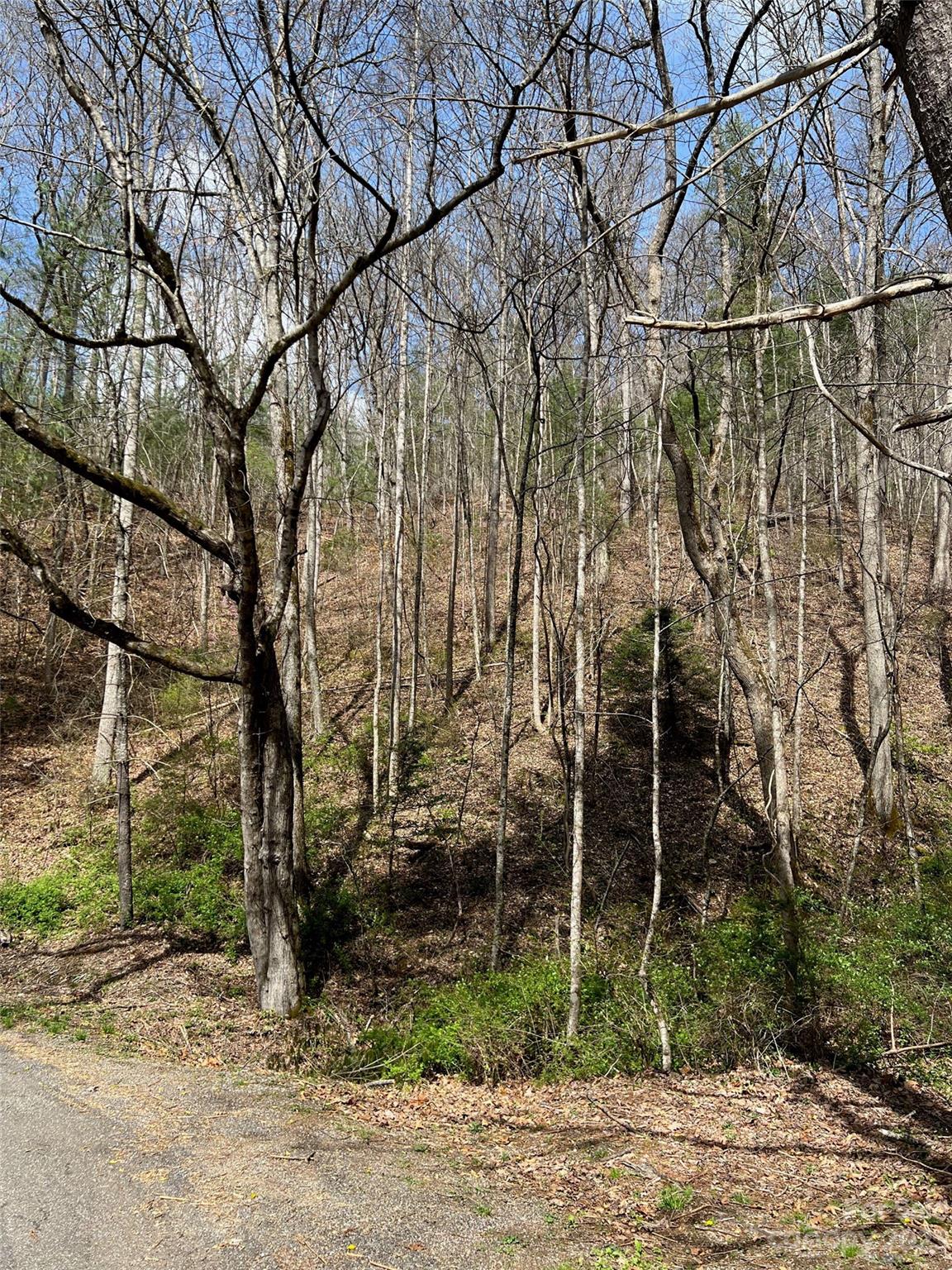 302-304 North Country Club Drive Cullowhee, NC 28723 - Photo 4 of 15