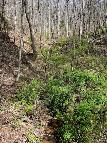 $25,000 | 302-304 North Country Club Drive, Cullowhee, NC 28723