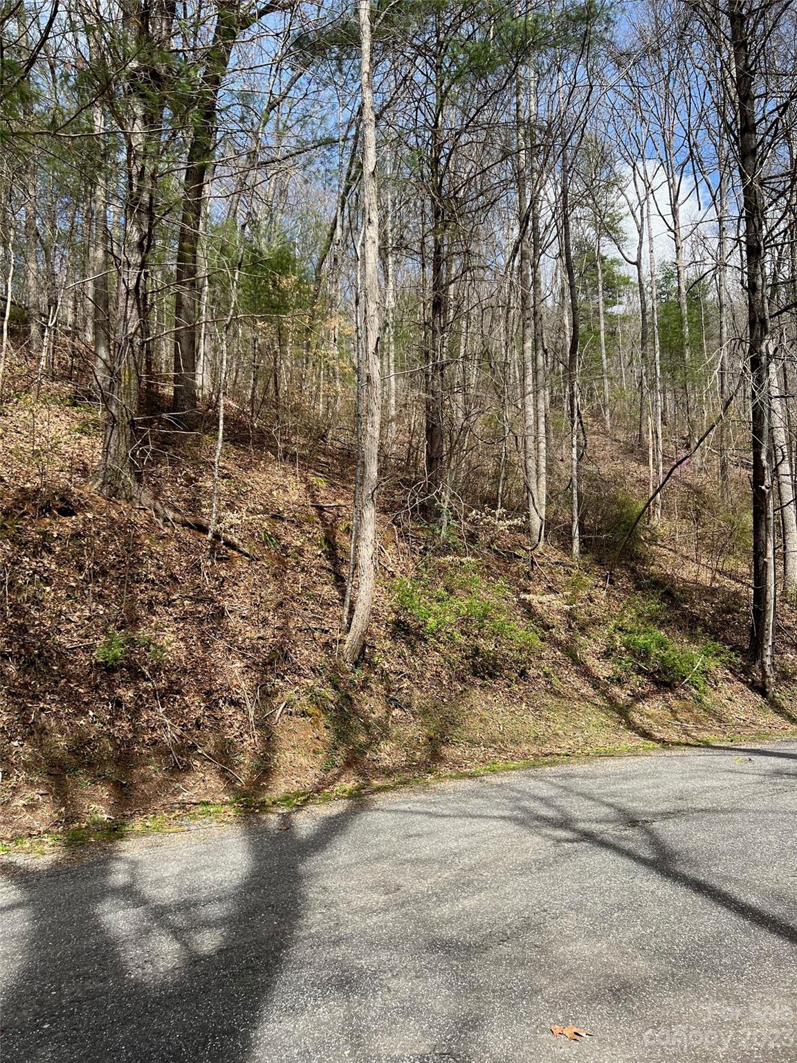 302-304 North Country Club Drive Cullowhee, NC 28723 - Photo 7 of 15