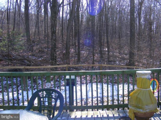550 Gum Springs Road Fairfield, PA 17320 - Photo 7 of 9 Wooded View / Acreage 2
