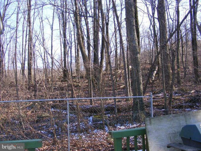 550 Gum Springs Road Fairfield, PA 17320 - Photo 8 of 9 Wooded View / Acreage 3