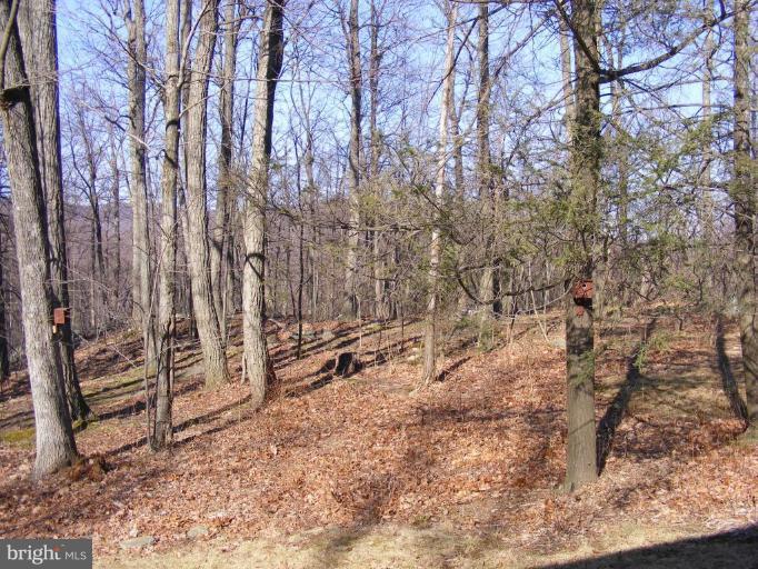 550 Gum Springs Road Fairfield, PA 17320 - Photo 9 of 9 Other #1