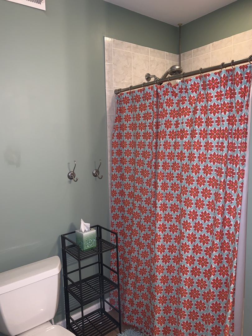 1231 North Artesian Avenue, Unit 2 Chicago, IL 60622 - Photo 5 of 9 a bathroom with a toilet and a shower curtain
