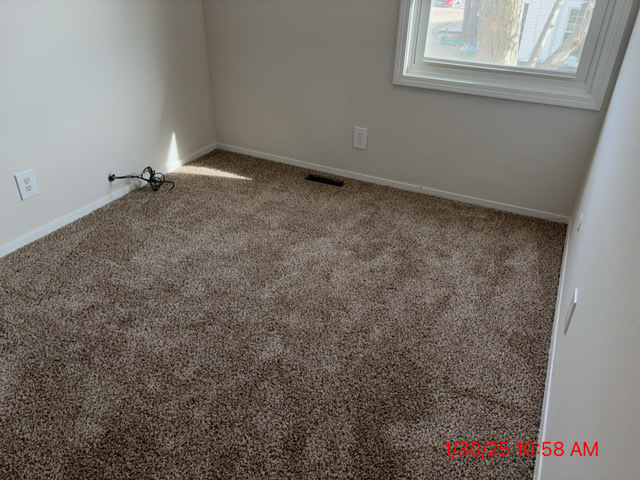 10 Fernwood Drive, Unit L Bolingbrook, IL 60440 - Photo 29 of 33