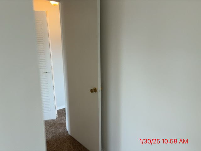 10 Fernwood Drive, Unit L Bolingbrook, IL 60440 - Photo 31 of 33