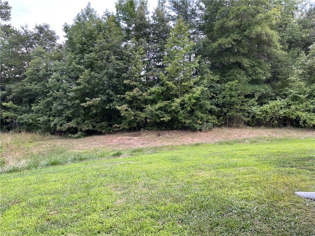 1136 Maple Ridge Drive Burlington, NC 27217 - Photo 27 of 29