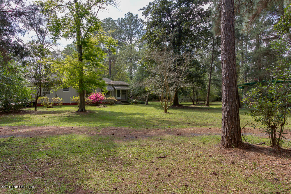 4621 Barnes Road South Jacksonville, FL 32207 - Photo 6 of 29 a view of a yard with a tree