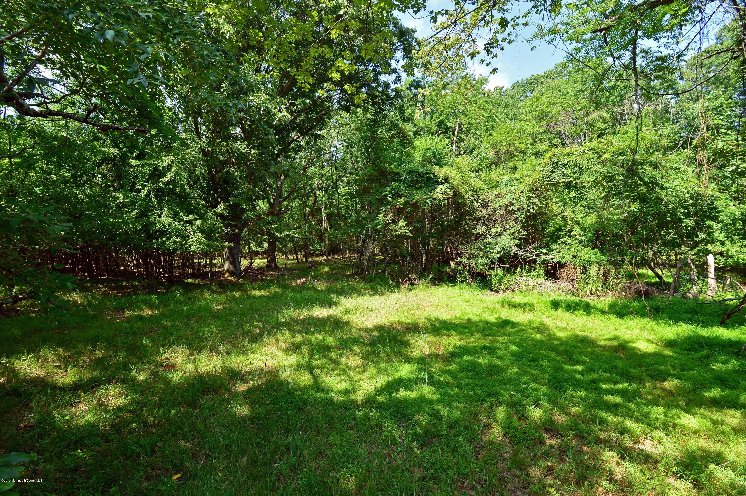 536 West Farms Road Howell, NJ 07731 - Photo 8 of 11 007_Acreage