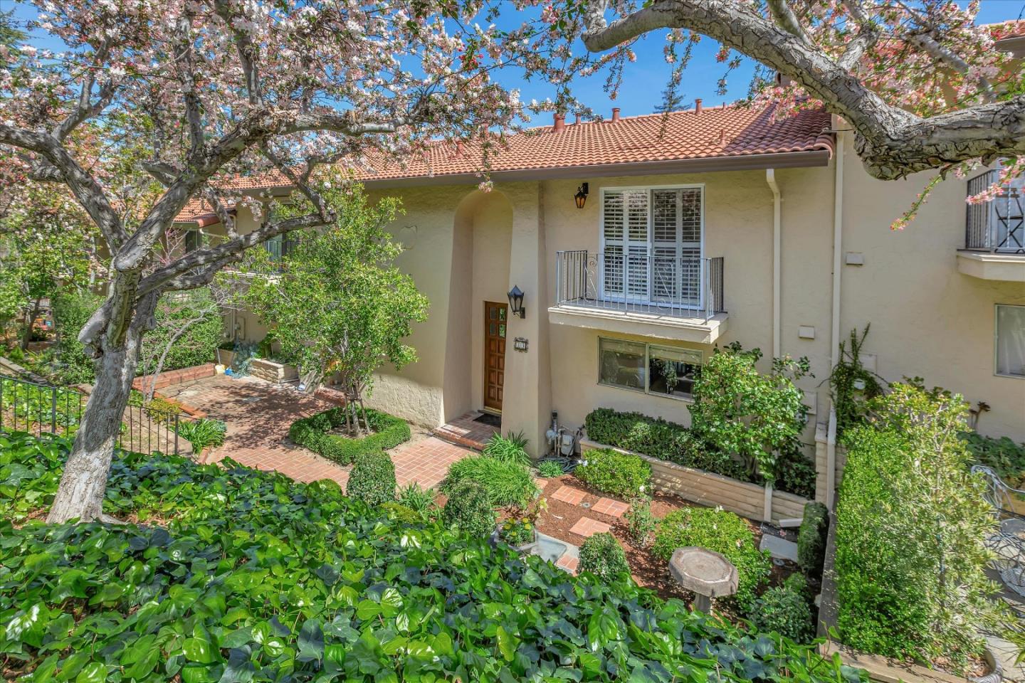 a backyard of a house with plants and large tree