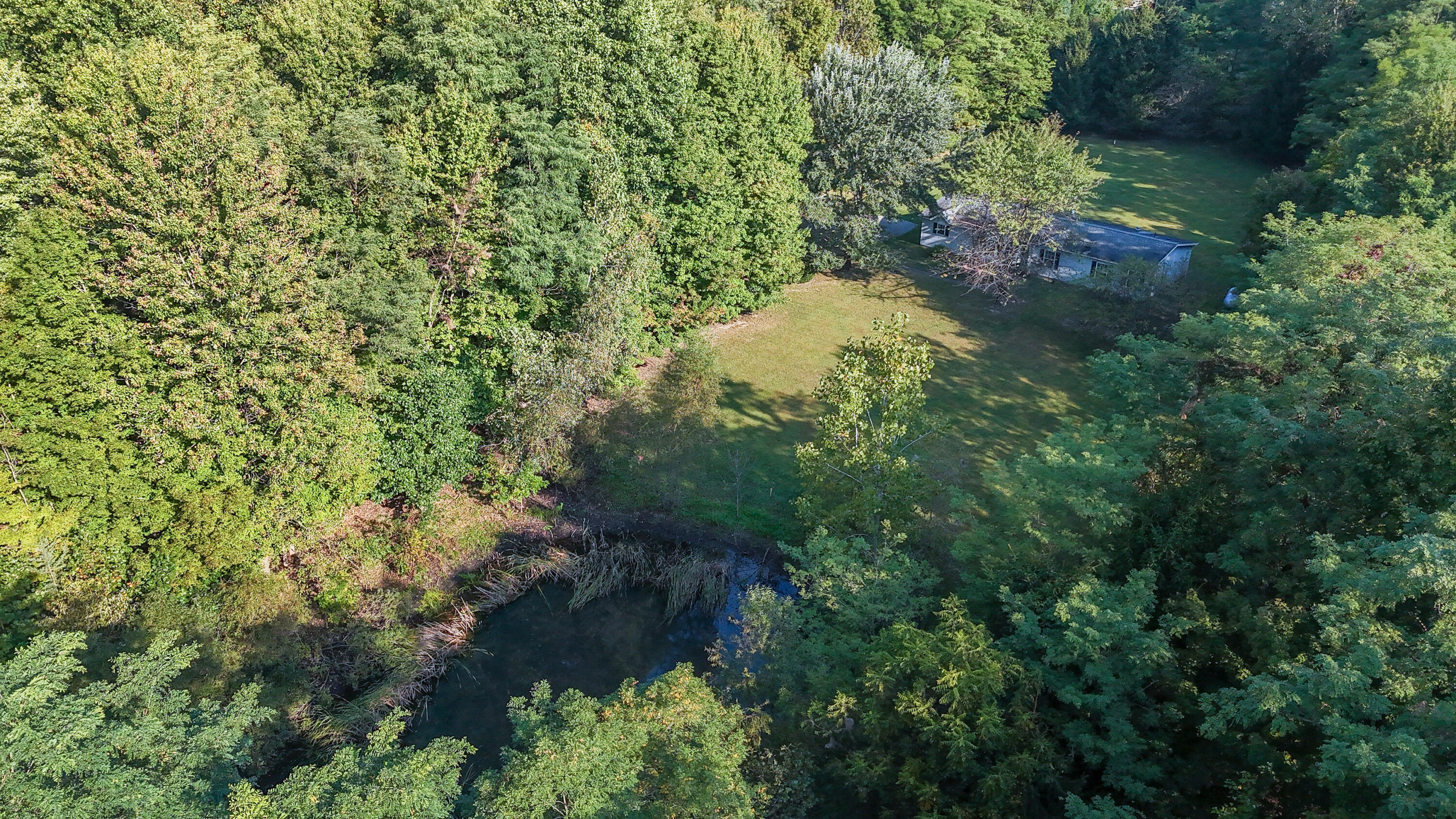9225 Maudlin Road New Buffalo, MI 49117 - Photo 3 of 28 20240916-DJI_20240916090814_0128_D