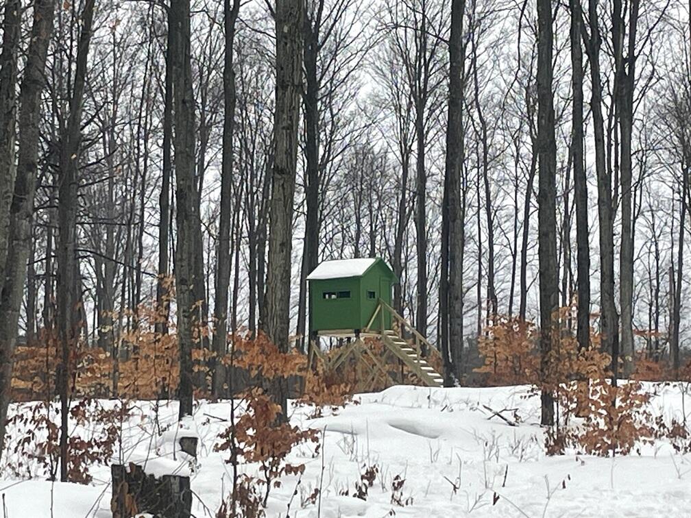 20350 Lindy Road Thompsonville, MI 49683 - Photo 1 of 18 IMG_3250