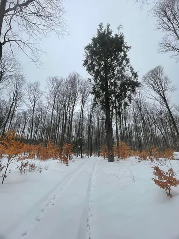 $359,900 | 20350 Lindy Road, Thompsonville, MI 49683