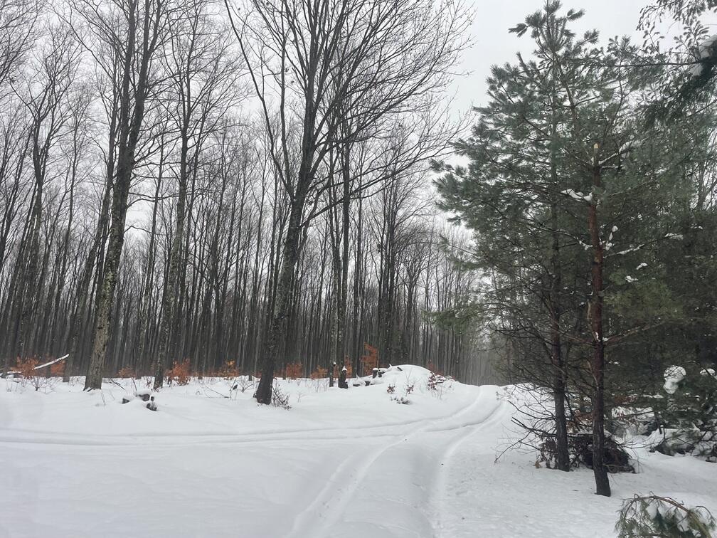 20350 Lindy Road Thompsonville, MI 49683 - Photo 13 of 18 IMG_3228