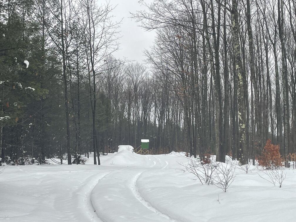 20350 Lindy Road Thompsonville, MI 49683 - Photo 14 of 18 IMG_3229