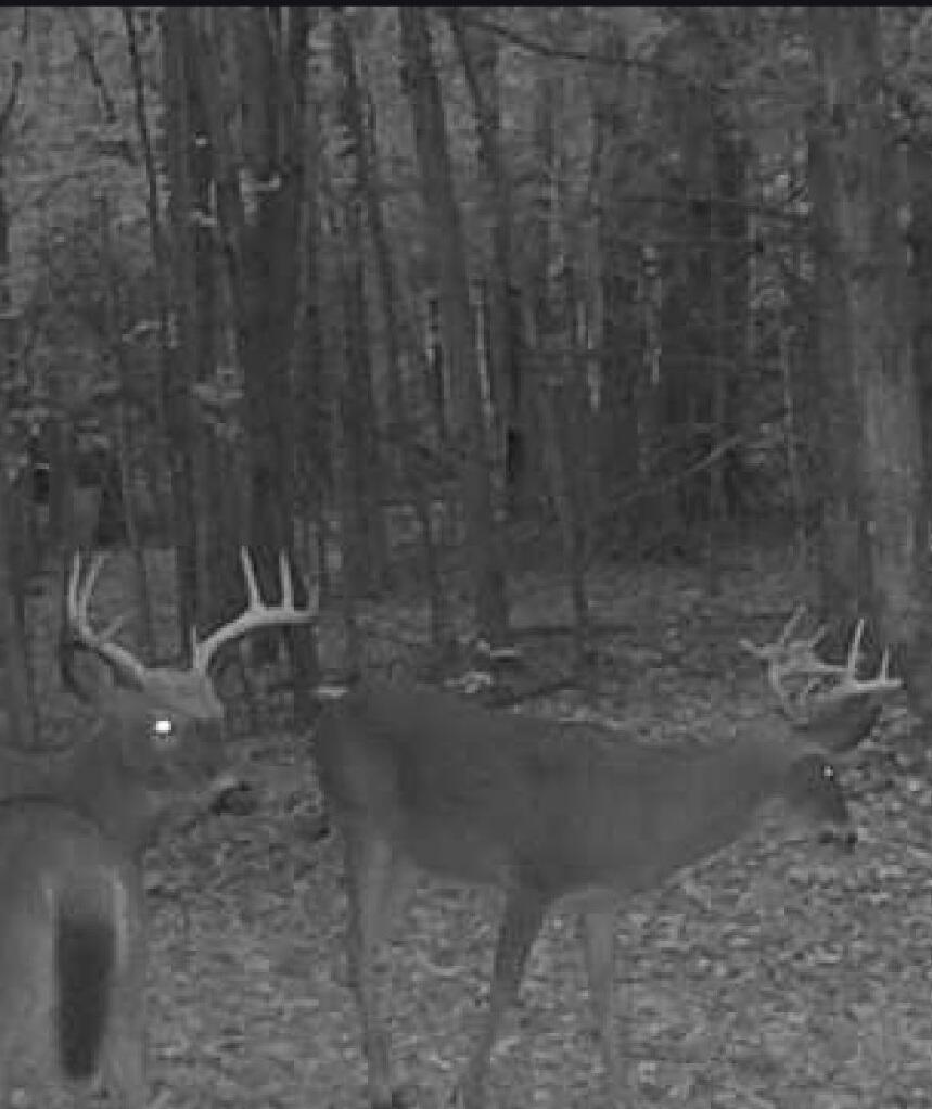 20350 Lindy Road Thompsonville, MI 49683 - Photo 18 of 18 4866986185795187155