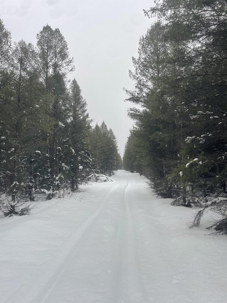 20350 Lindy Road Thompsonville, MI 49683 - Photo 2 of 18 IMG_3224