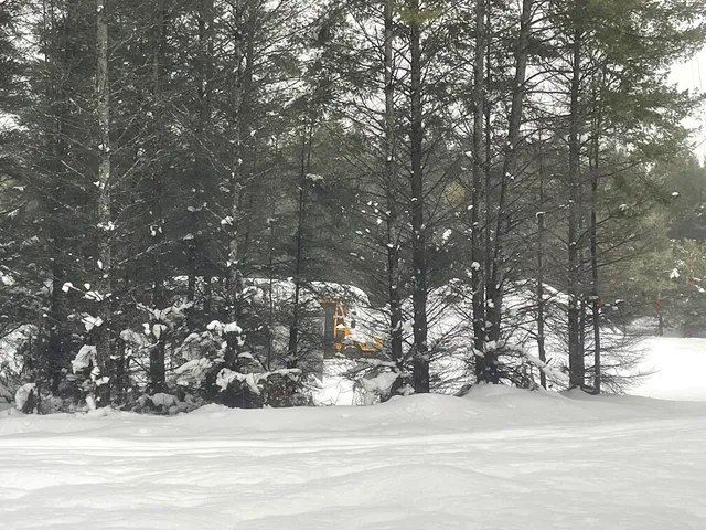 $359,900 | 20350 Lindy Road, Thompsonville, MI 49683