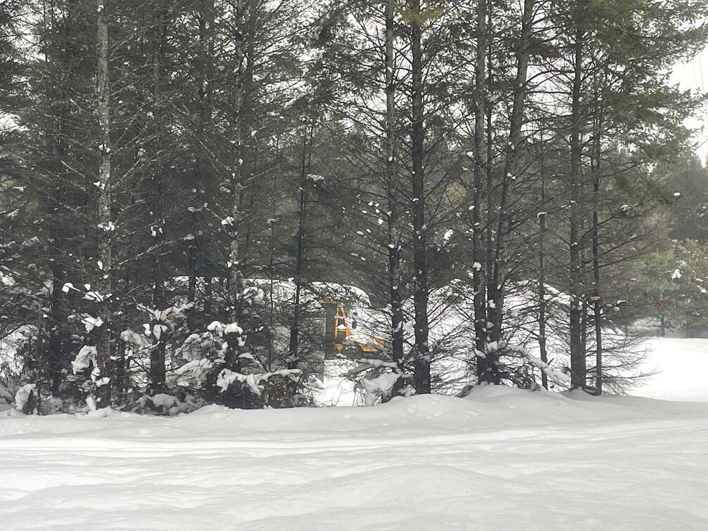 20350 Lindy Road Thompsonville, MI 49683 - Photo 3 of 18 IMG_3226