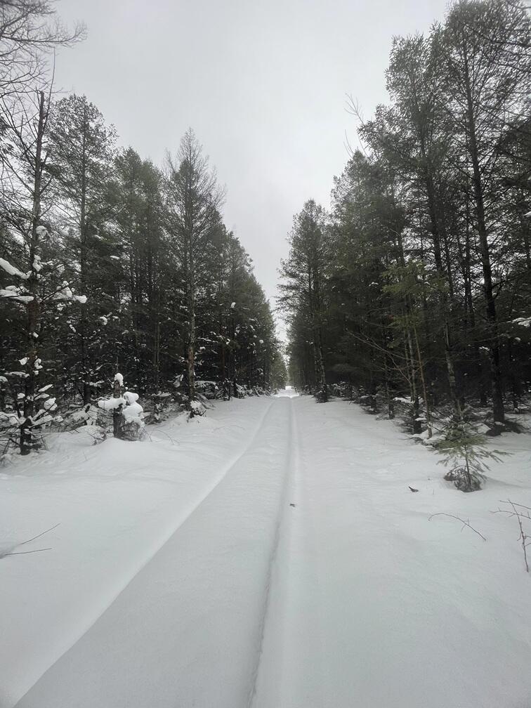 20350 Lindy Road Thompsonville, MI 49683 - Photo 4 of 18 IMG_3227