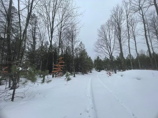 $359,900 | 20350 Lindy Road, Thompsonville, MI 49683