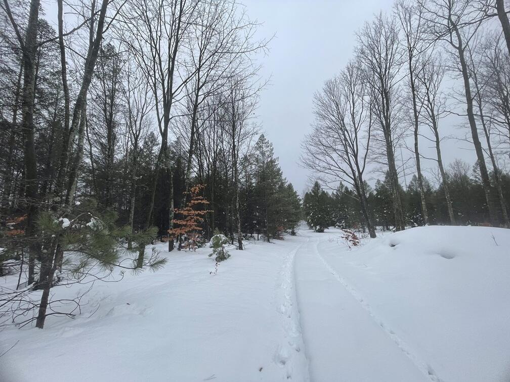 20350 Lindy Road Thompsonville, MI 49683 - Photo 5 of 18 IMG_3233