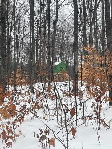 $359,900 | 20350 Lindy Road, Thompsonville, MI 49683