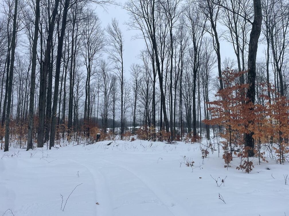 20350 Lindy Road Thompsonville, MI 49683 - Photo 7 of 18 IMG_3245