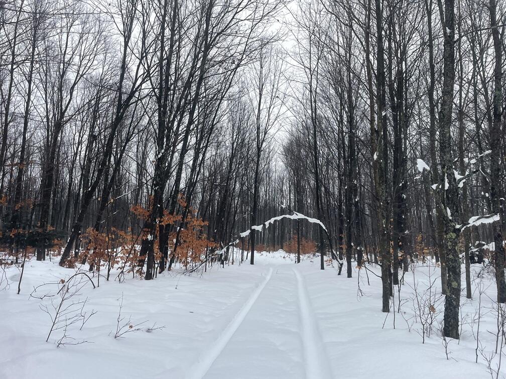 20350 Lindy Road Thompsonville, MI 49683 - Photo 8 of 18 IMG_3235