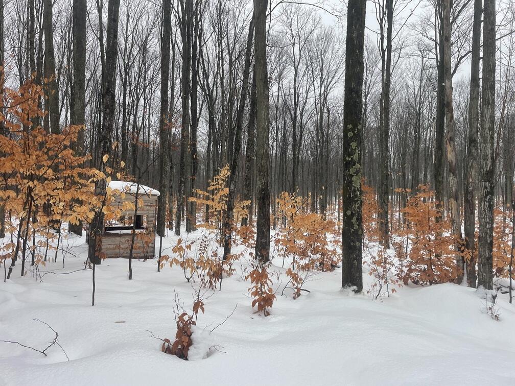 20350 Lindy Road Thompsonville, MI 49683 - Photo 10 of 18 IMG_3243