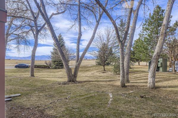 8678 Decatur Street, Unit 275 Westminster, CO 80031 - Photo 24 of 26 a view of dirt yard with a tree