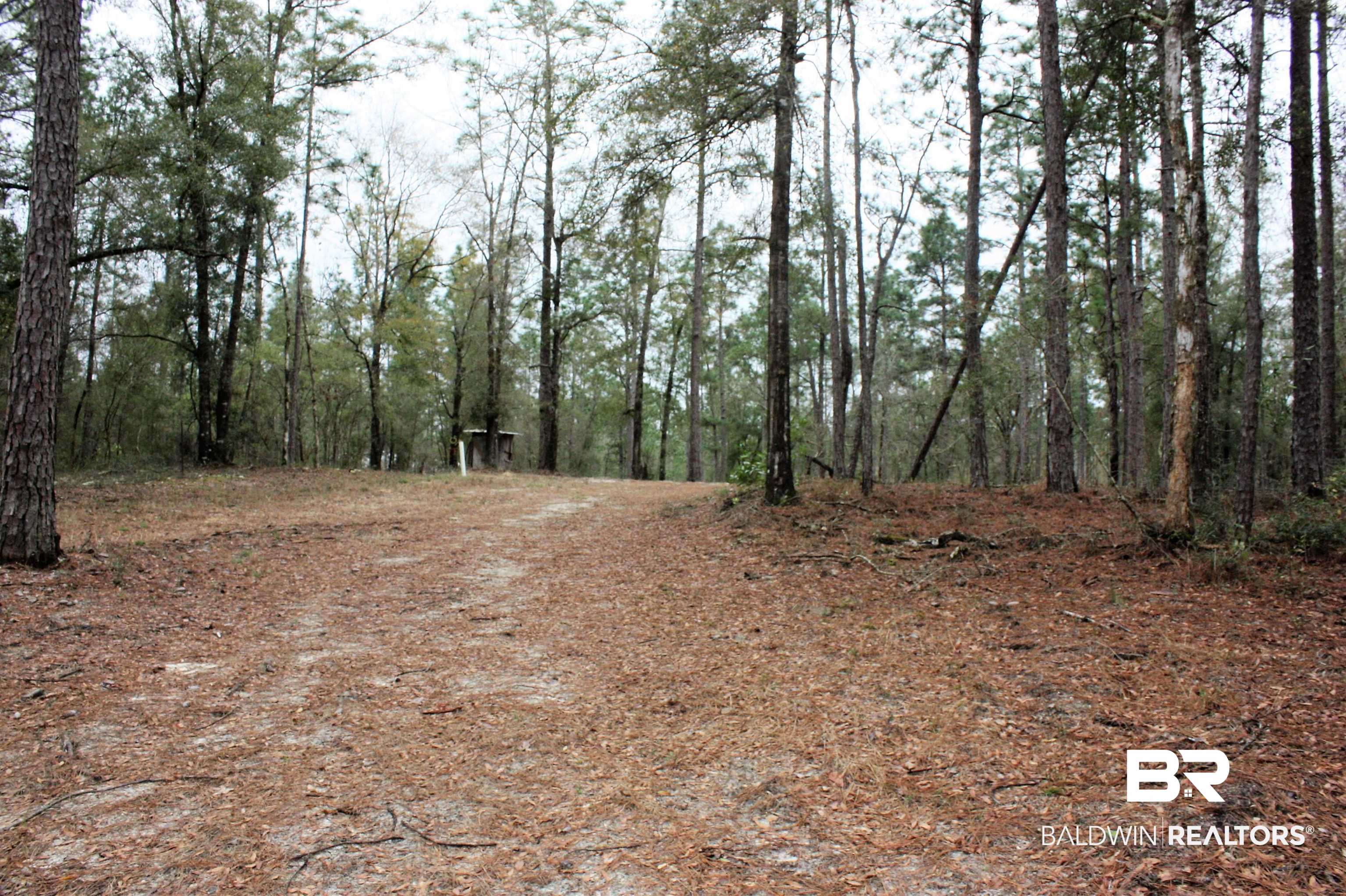 8190 B Dixon Road Bay Minette, AL 36507 - Photo 3 of 13