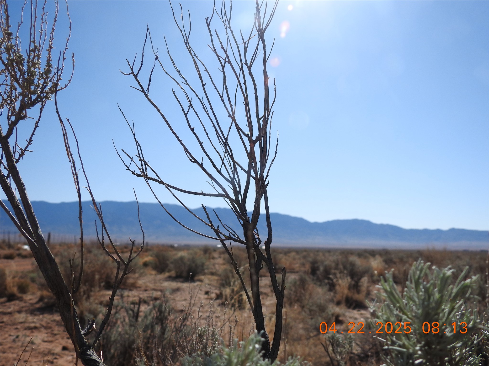 0 Canilla Loop Belen, NM 87002 - Photo 19 of 20
