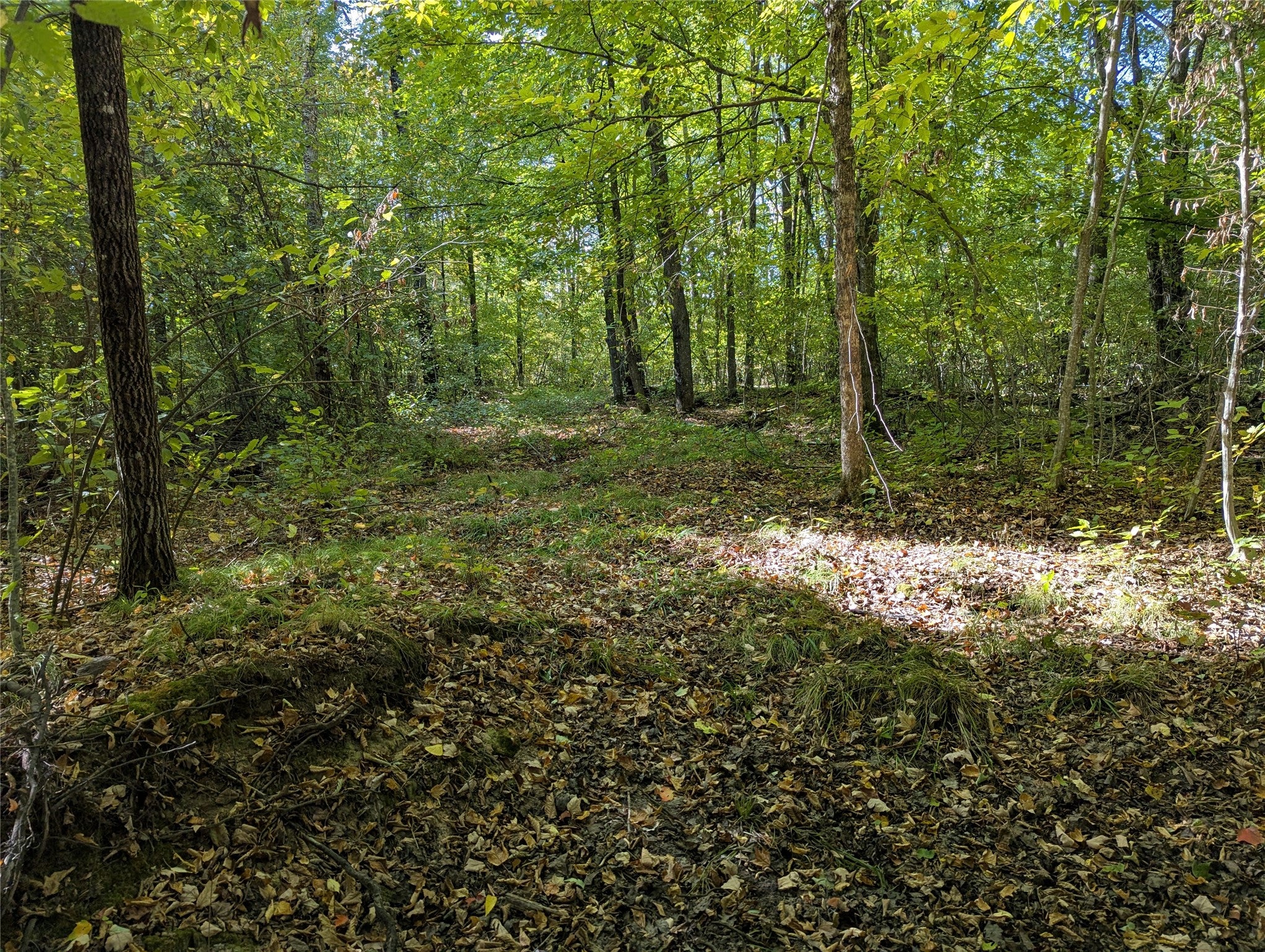 Lot 17 Rabbit Run Winter, WI 54896 - Photo 5 of 7 Gallery Image 5