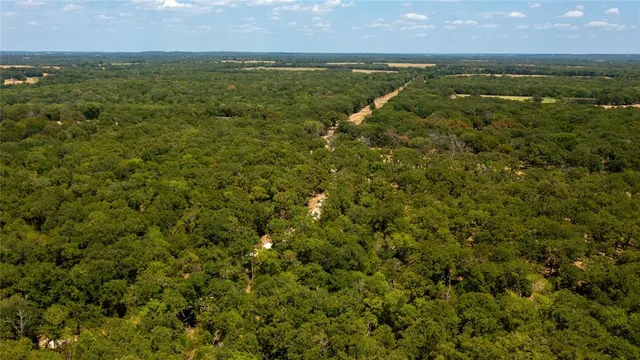 an aerial view of residential houses with outdoor space and trees
