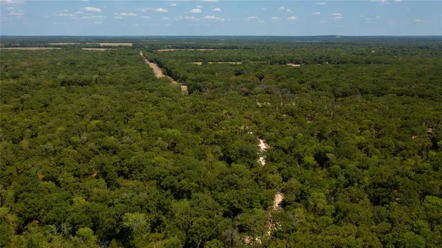 an aerial view of residential houses with outdoor space and trees
