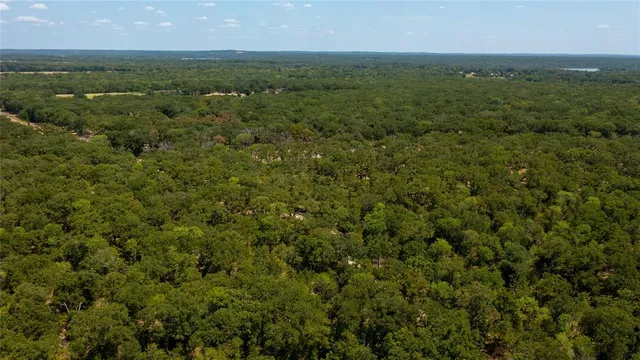 an aerial view of residential houses with outdoor space and trees