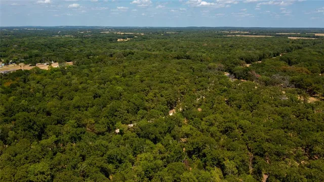 an aerial view of residential houses with outdoor space and trees