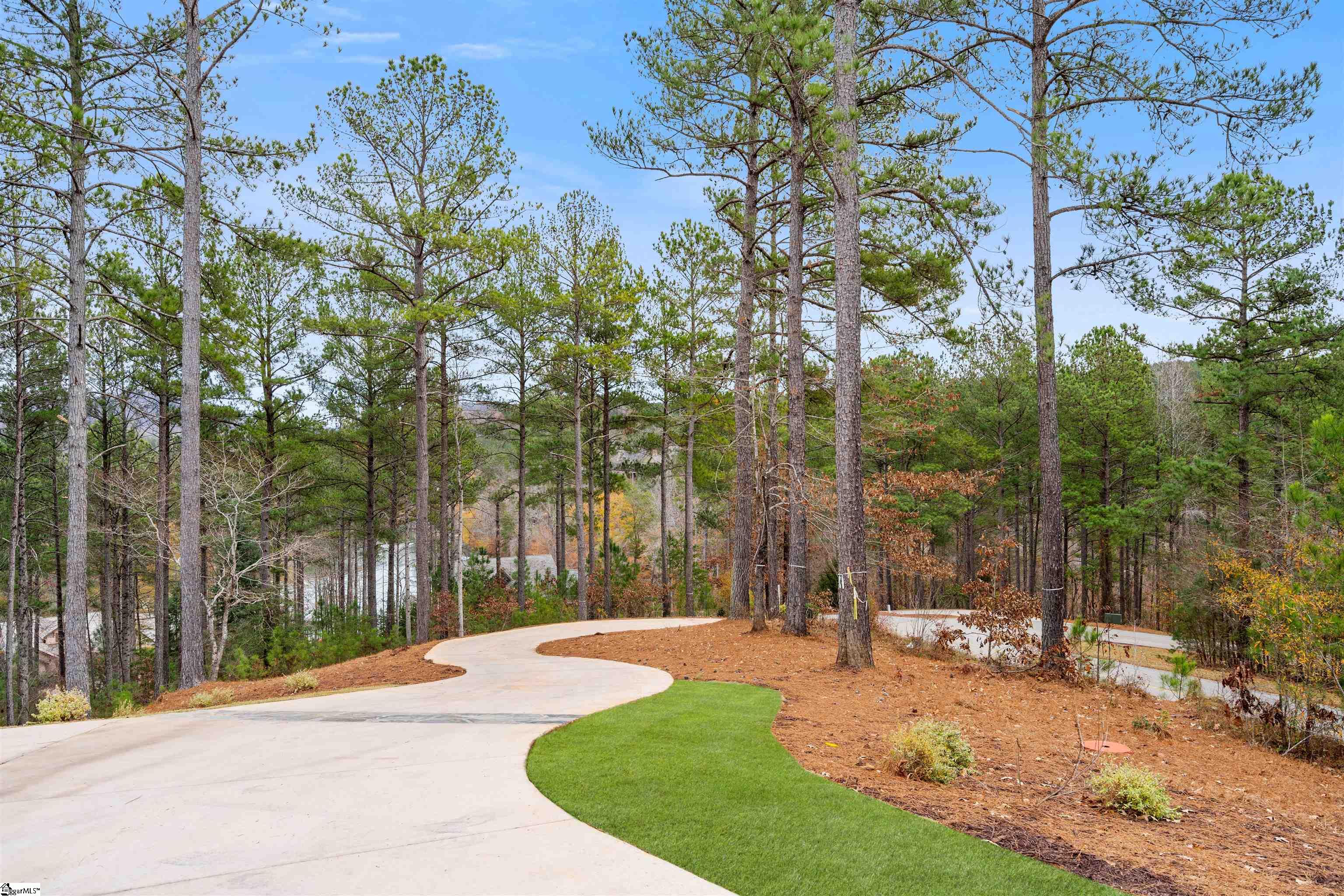 244 Featherstone Drive Sunset, SC 29685 - Photo 3 of 35