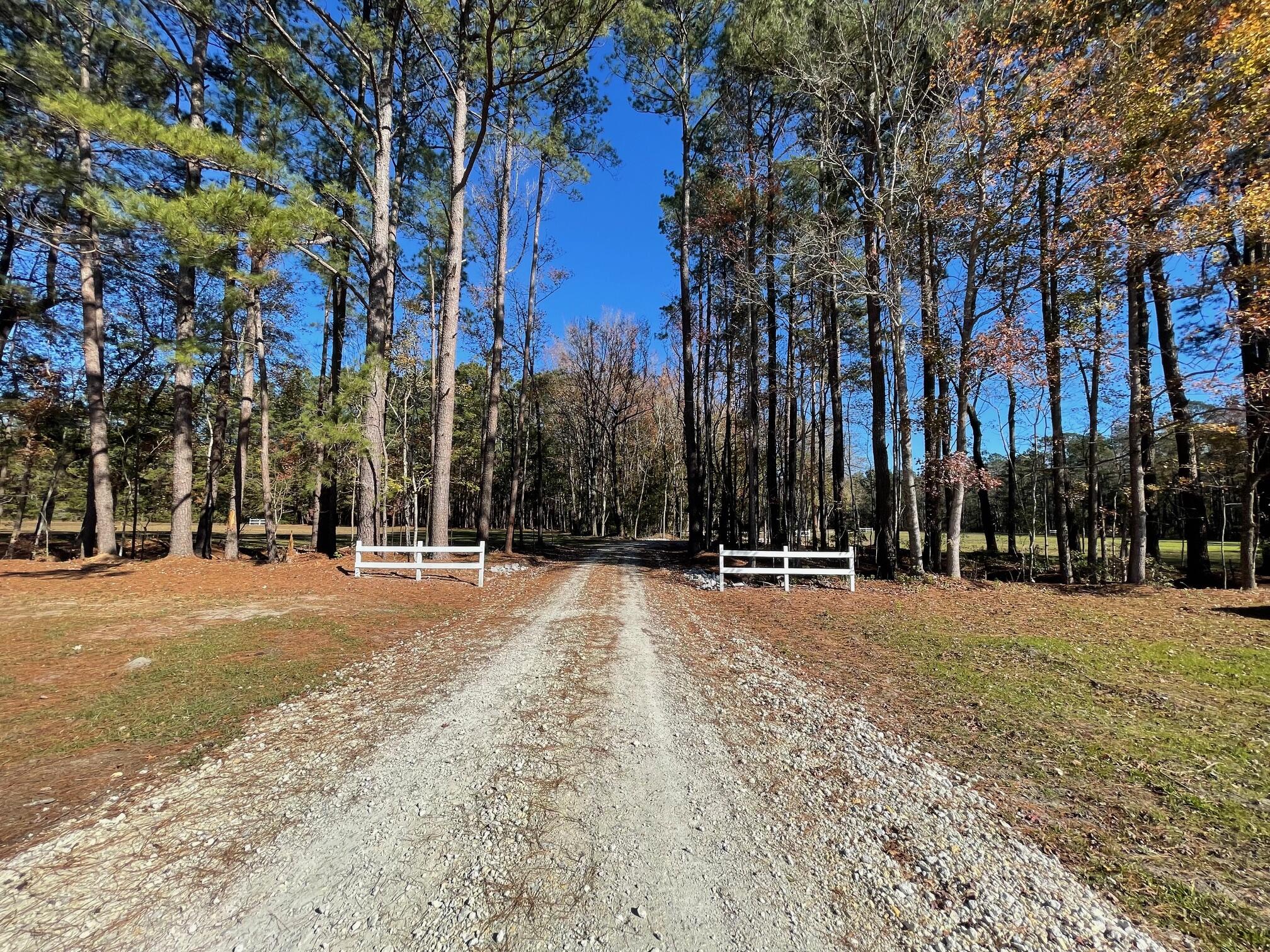 369 Fish Road Estates Lane Ridgeville, SC 29472 - Photo 2 of 17 IMG_6189