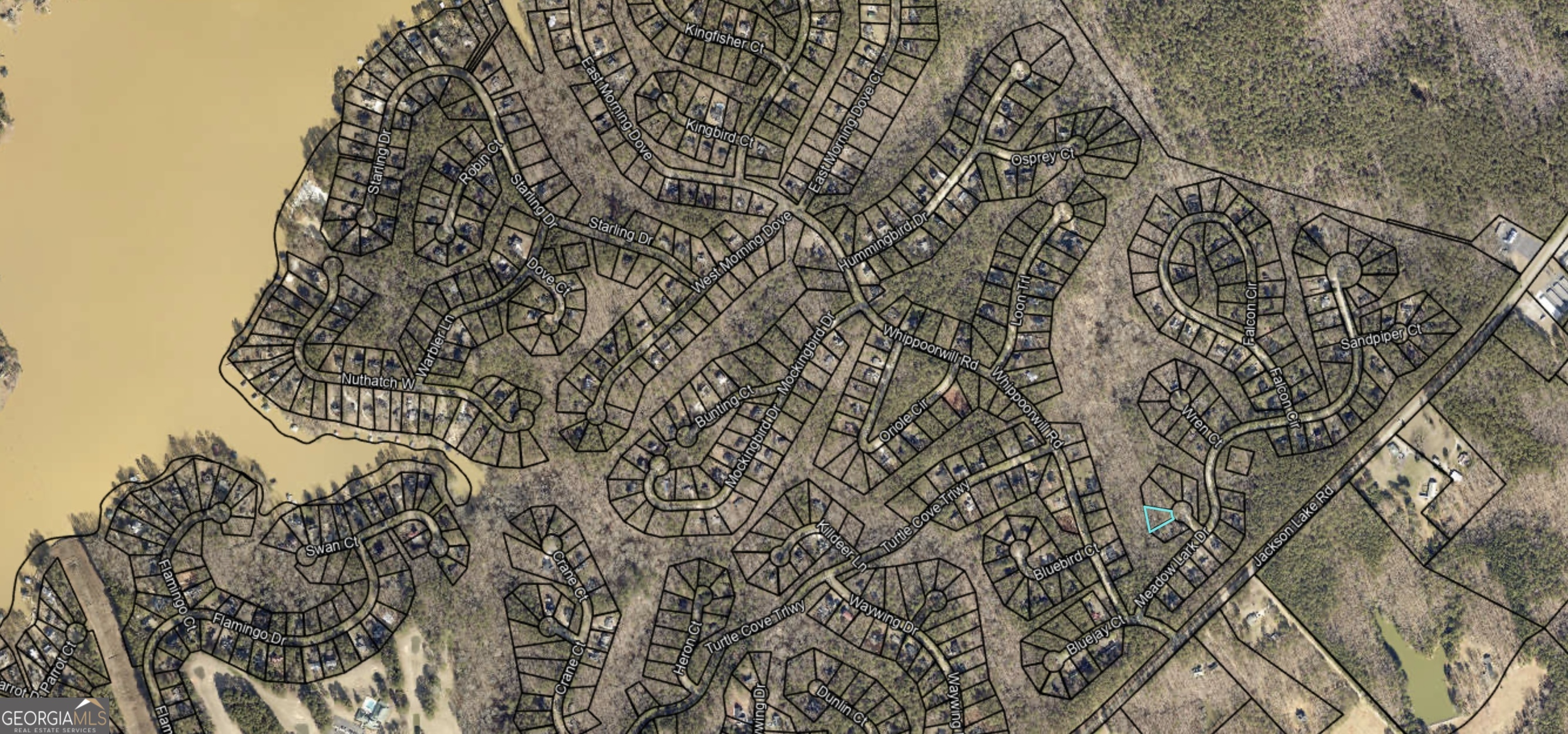 0 Brant Court Monticello, GA 31064 - Photo 3 of 4 a close up of a plant