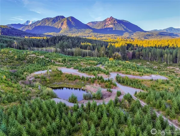 a view of a lake with a mountain in the background