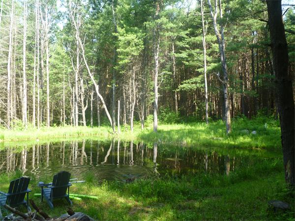 93 Blandford Road Chester, MA 01011 - Photo 24 of 29