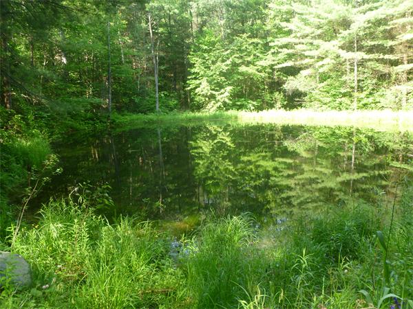 93 Blandford Road Chester, MA 01011 - Photo 25 of 29