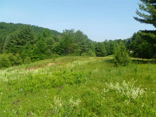 93 Blandford Road Chester, MA 01011 - Photo 4 of 29