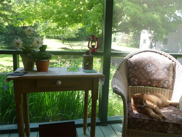 93 Blandford Road Chester, MA 01011 - Photo 8 of 29