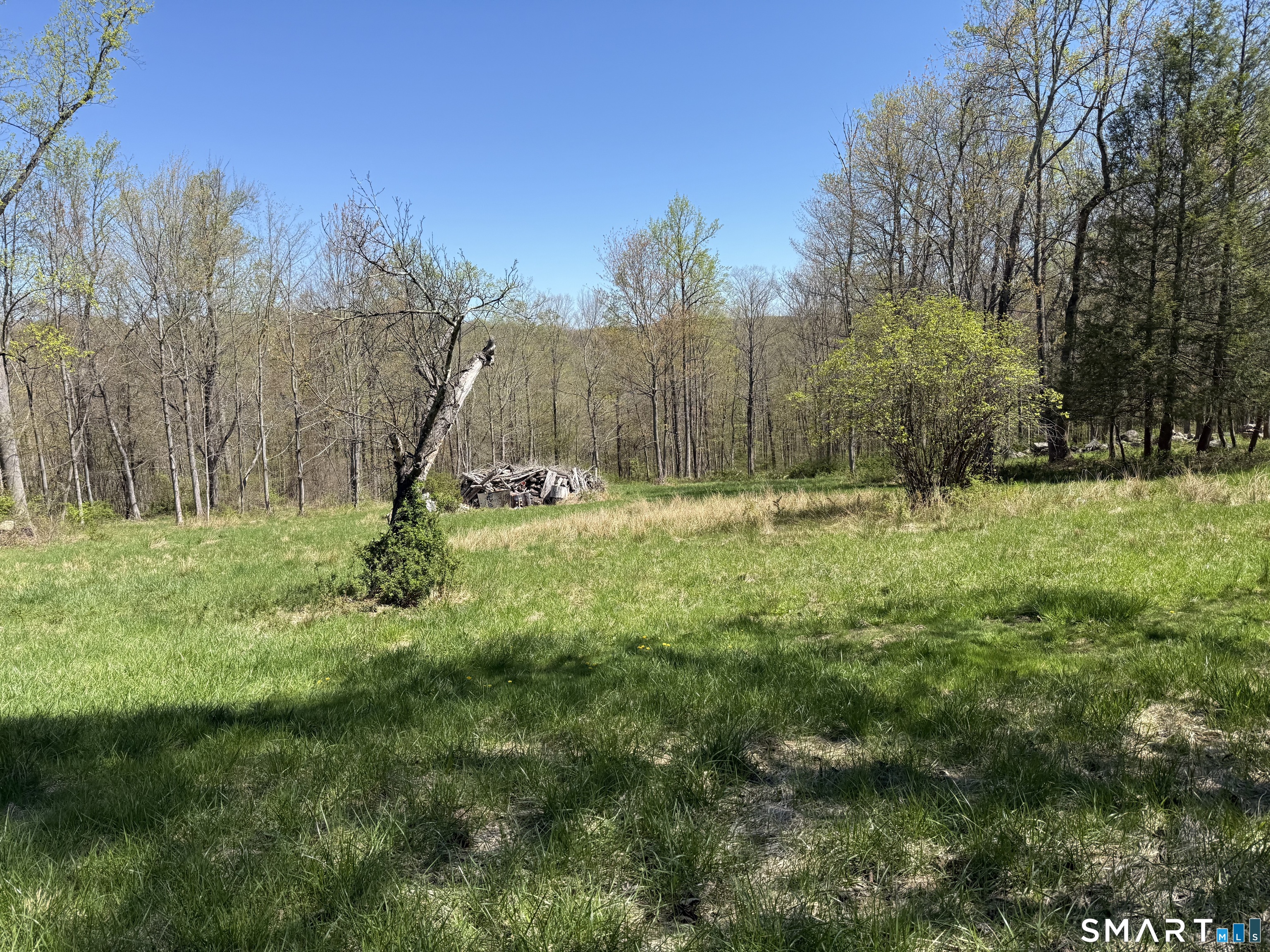 163 Clapboard Ridge Road Danbury, CT 06811 - Photo 14 of 17 a backyard of a house with lots of green space