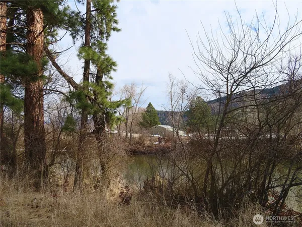 a view of river covered by trees
